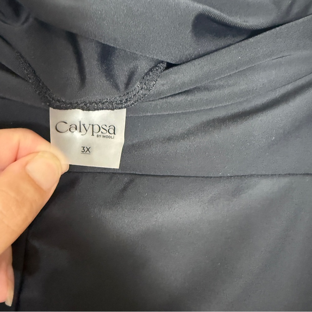 Calypsa by Modli Black Swim Shorts Size 3X - Picture 2 of 3